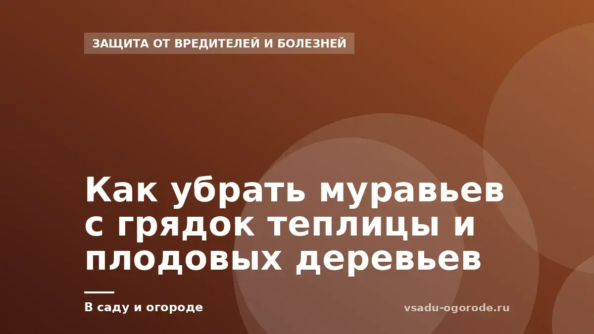 Как убрать муравьев с грядок теплицы и плодовых деревьев