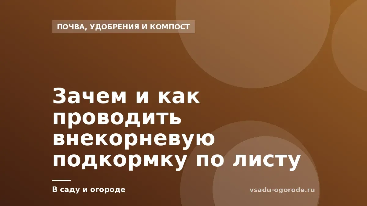 Зачем и как проводить внекорневую подкормку по листу