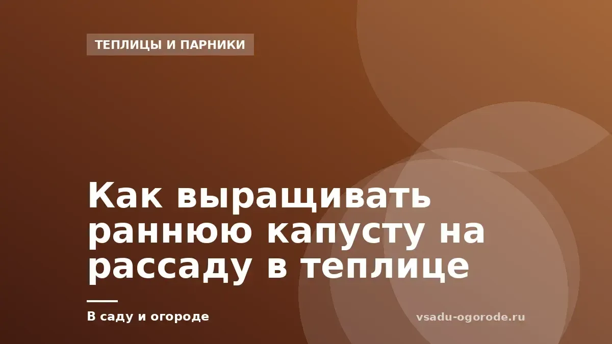 Как выращивать раннюю капусту на рассаду в теплице