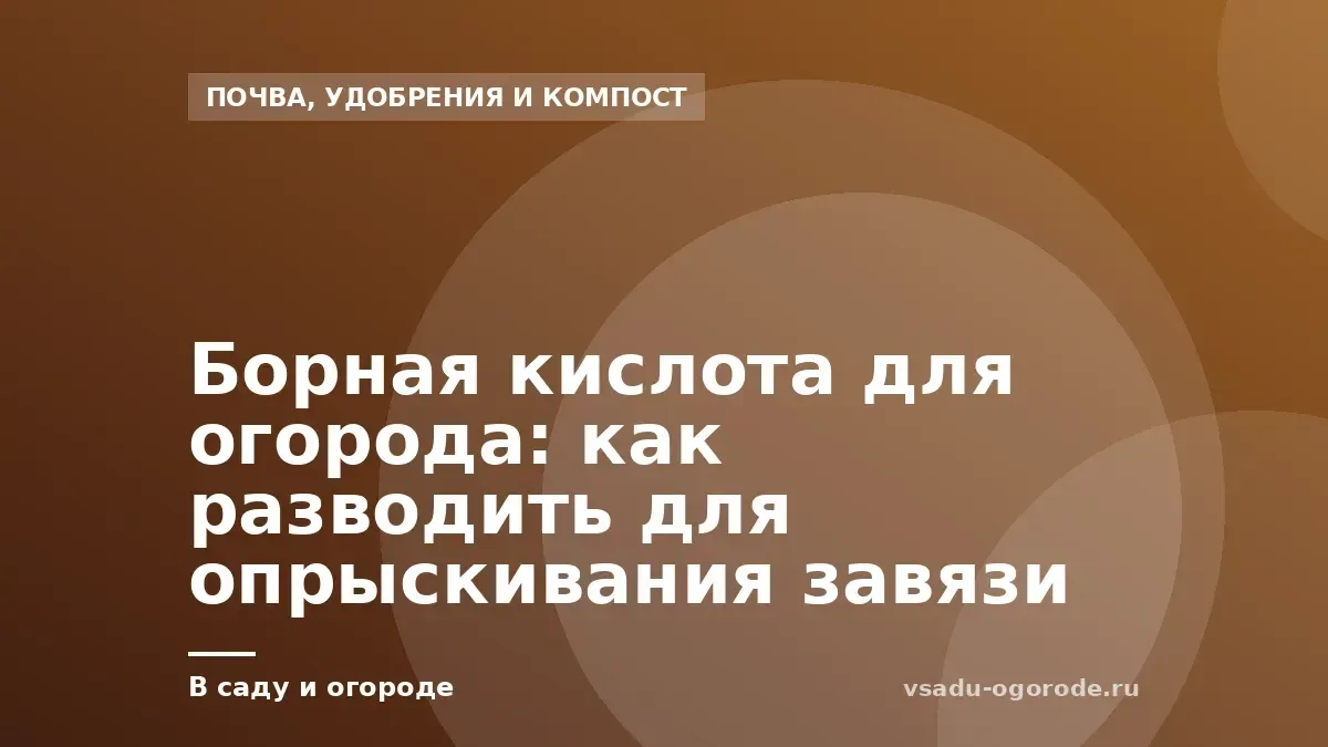 Борная кислота для огорода: как разводить для опрыскивания завязи